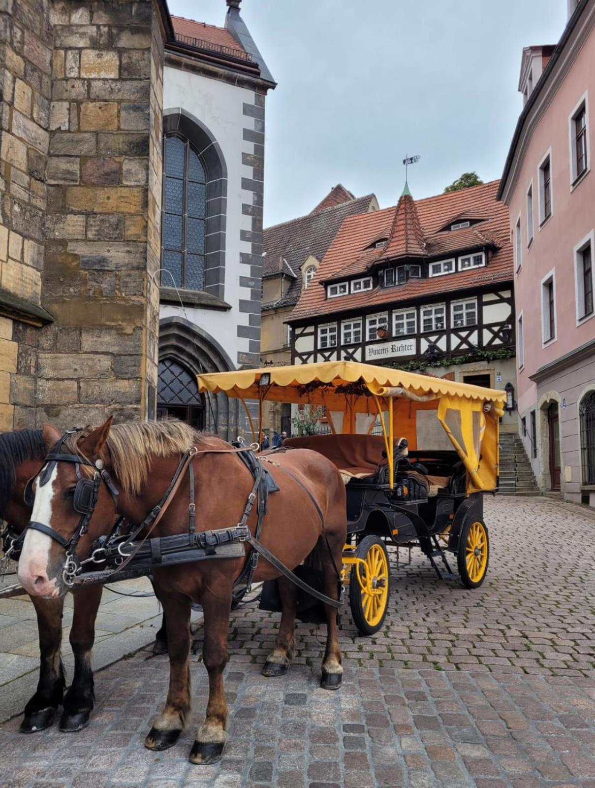 Cosel Apartment Altstadt Radfahrer Balkon Meißen 客房 照片